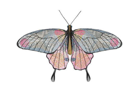 Butterfly with Gray and Pink Wings Review