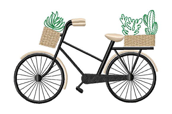 Reviewing Bicycle with Cacti and Succulents